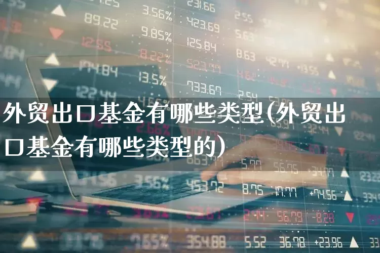 外贸出口基金有哪些类型(外贸出口基金有哪些类型的)_https://www.heiljjianzu.com_创业板_第1张