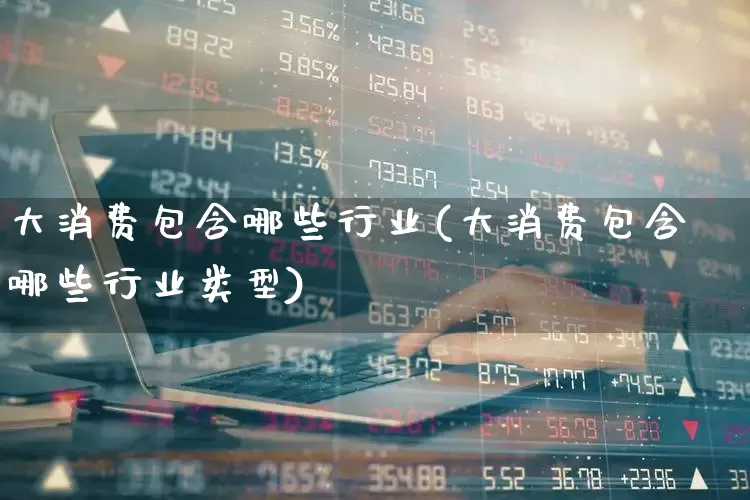 大消费包含哪些行业(大消费包含哪些行业类型)_https://www.heiljjianzu.com_创业板_第1张
