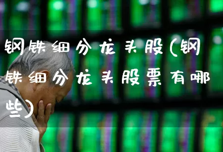 钢铁细分龙头股(钢铁细分龙头股票有哪些)_https://www.heiljjianzu.com_北交所_第1张