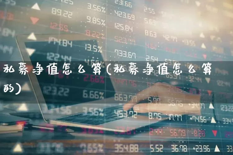 私募净值怎么算(私募净值怎么算的)_https://www.heiljjianzu.com_科创板_第1张