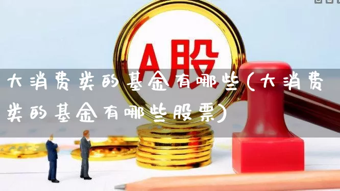 大消费类的基金有哪些(大消费类的基金有哪些股票)_https://www.heiljjianzu.com_上交所_第1张