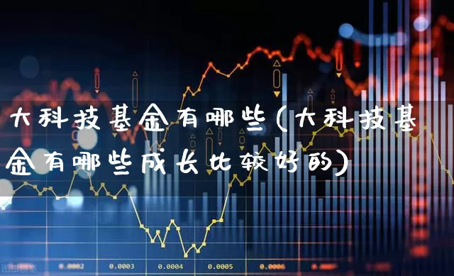 大科技基金有哪些(大科技基金有哪些成长比较好的)_https://www.heiljjianzu.com_上交所_第1张