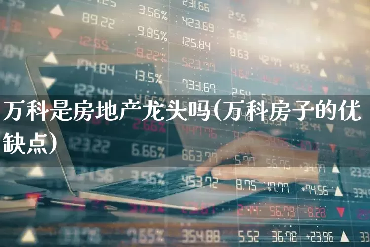 万科是房地产龙头吗(万科房子的优缺点)_https://www.heiljjianzu.com_深交所_第1张