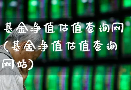 基金净值估值查询网(基金净值估值查询网站)_https://www.heiljjianzu.com_北交所_第1张