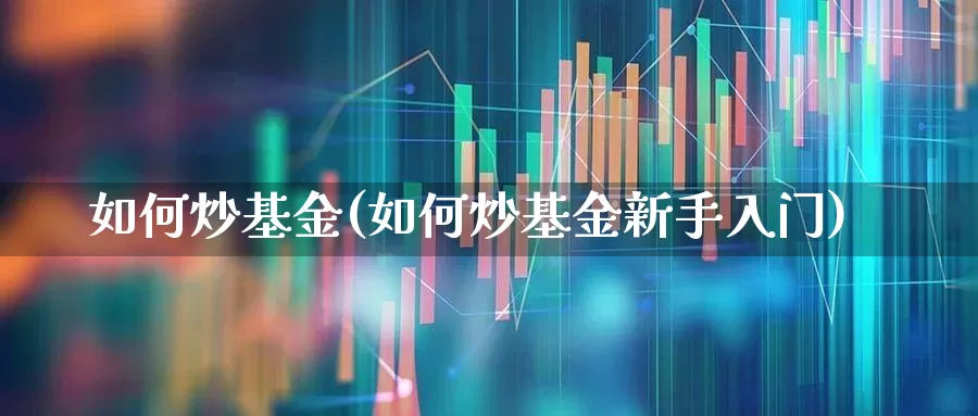 如何炒基金(如何炒基金新手入门)_https://www.heiljjianzu.com_创业板_第1张