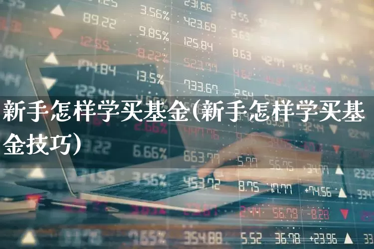 新手怎样学买基金(新手怎样学买基金技巧)_https://www.heiljjianzu.com_上交所_第1张