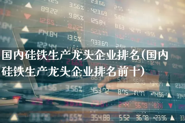 国内硅铁生产龙头企业排名(国内硅铁生产龙头企业排名前十)_https://www.heiljjianzu.com_深交所_第1张