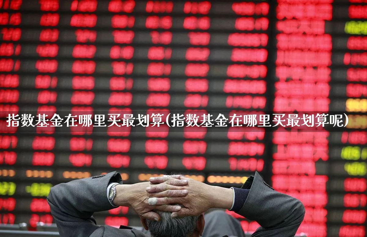 指数基金在哪里买最划算(指数基金在哪里买最划算呢)_https://www.heiljjianzu.com_深交所_第1张