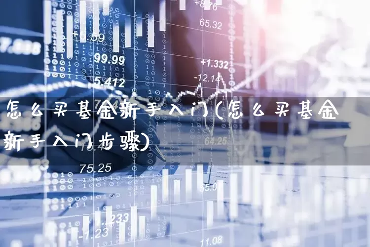 怎么买基金新手入门(怎么买基金新手入门步骤)_https://www.heiljjianzu.com_北交所_第1张