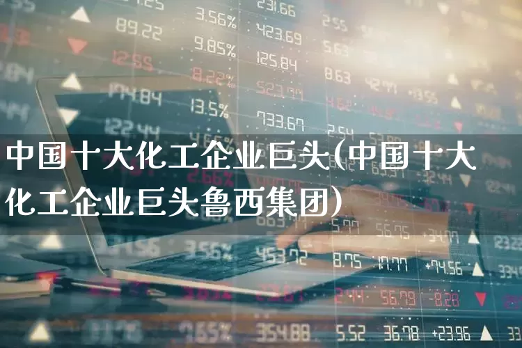 中国十大化工企业巨头(中国十大化工企业巨头鲁西集团)_https://www.heiljjianzu.com_上交所_第1张