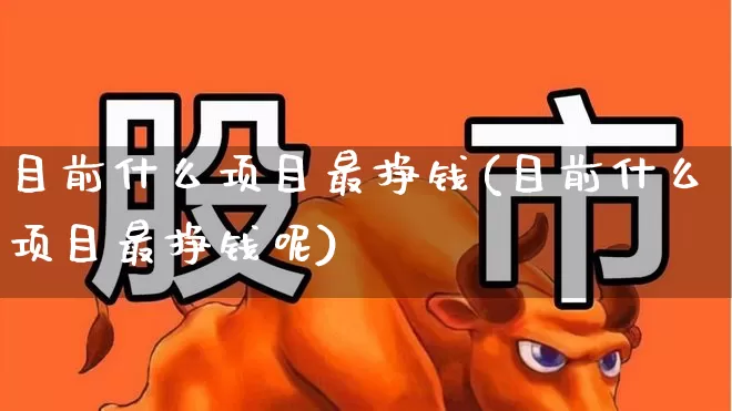 目前什么项目最挣钱(目前什么项目最挣钱呢)_https://www.heiljjianzu.com_深交所_第1张