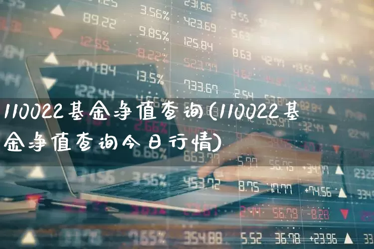 110022基金净值查询(110022基金净值查询今日行情)_https://www.heiljjianzu.com_创业板_第1张