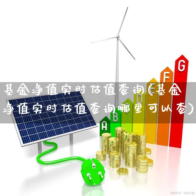 基金净值实时估值查询(基金净值实时估值查询哪里可以查)_https://www.heiljjianzu.com_深交所_第1张