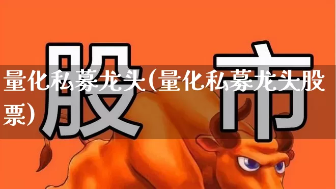 量化私募龙头(量化私募龙头股票)_https://www.heiljjianzu.com_深交所_第1张