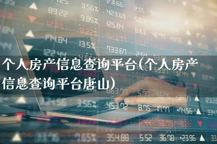 个人房产信息查询平台(个人房产信息查询平台唐山)_https://www.heiljjianzu.com_北交所_第1张