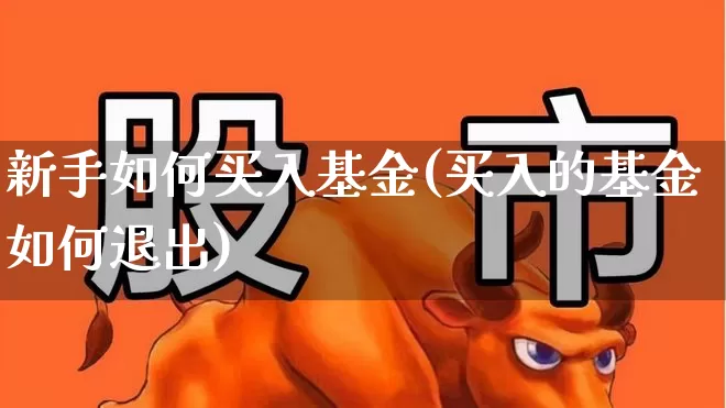 新手如何买入基金(买入的基金如何退出)_https://www.heiljjianzu.com_上交所_第1张