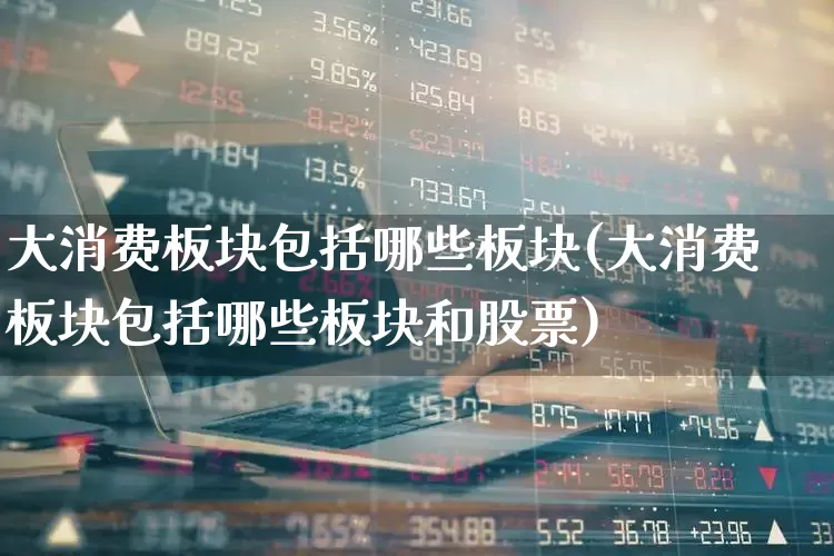 大消费板块包括哪些板块(大消费板块包括哪些板块和股票)_https://www.heiljjianzu.com_科创板_第1张