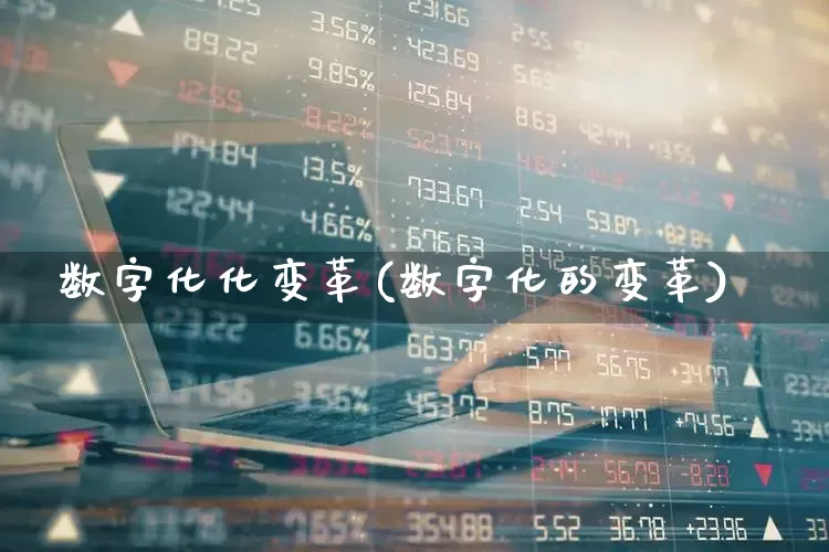数字化化变革(数字化的变革)_https://www.heiljjianzu.com_上交所_第1张