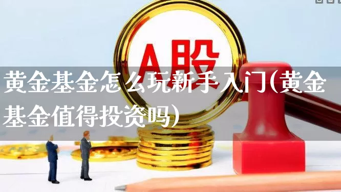 黄金基金怎么玩新手入门(黄金基金值得投资吗)_https://www.heiljjianzu.com_上交所_第1张