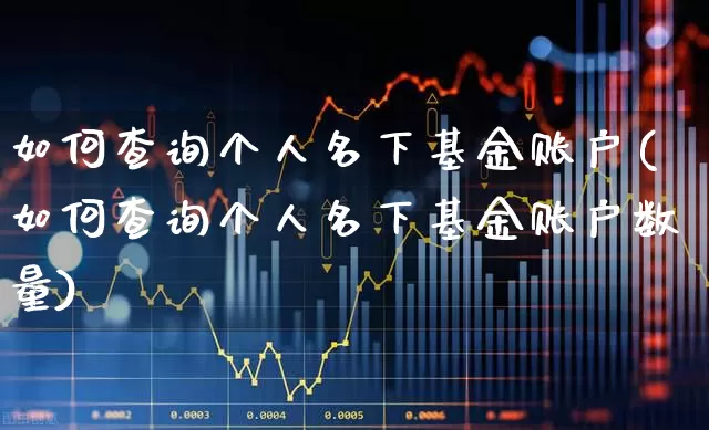 如何查询个人名下基金账户(如何查询个人名下基金账户数量)_https://www.heiljjianzu.com_上交所_第1张