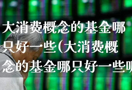 大消费概念的基金哪只好一些(大消费概念的基金哪只好一些呢)_https://www.heiljjianzu.com_深交所_第1张