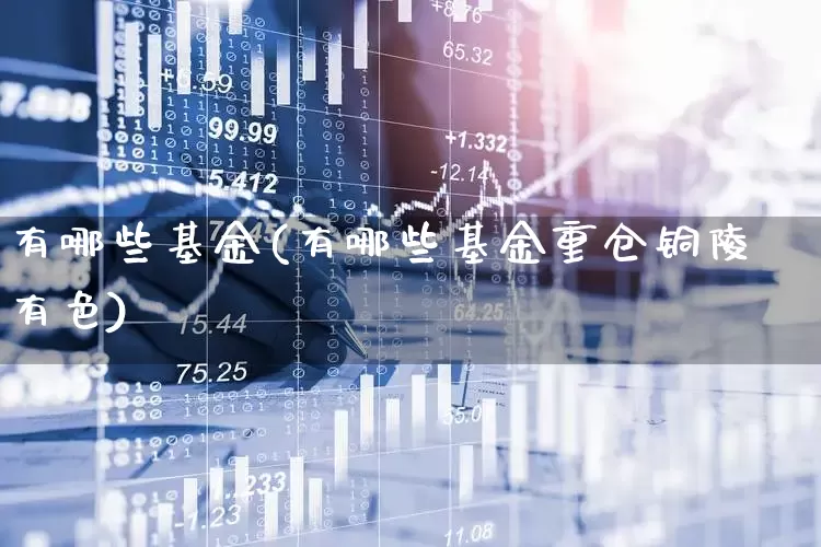 有哪些基金(有哪些基金重仓铜陵有色)_https://www.heiljjianzu.com_北交所_第1张