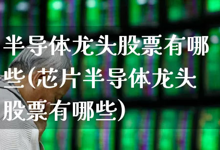 半导体龙头股票有哪些(芯片半导体龙头股票有哪些)_https://www.heiljjianzu.com_科创板_第1张