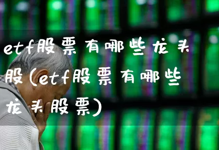etf股票有哪些龙头股(etf股票有哪些龙头股票)_https://www.heiljjianzu.com_深交所_第1张