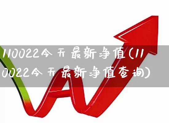 110022今天最新净值(110022今天最新净值查询)_https://www.heiljjianzu.com_上交所_第1张