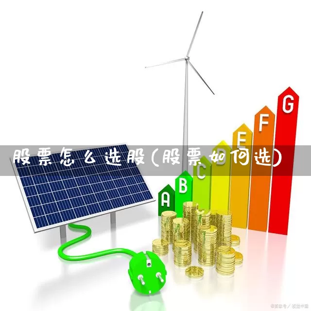 股票怎么选股(股票如何选)_https://www.heiljjianzu.com_深交所_第1张