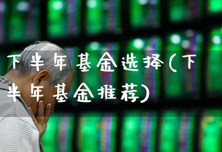 下半年基金选择(下半年基金推荐)_https://www.heiljjianzu.com_上交所_第1张