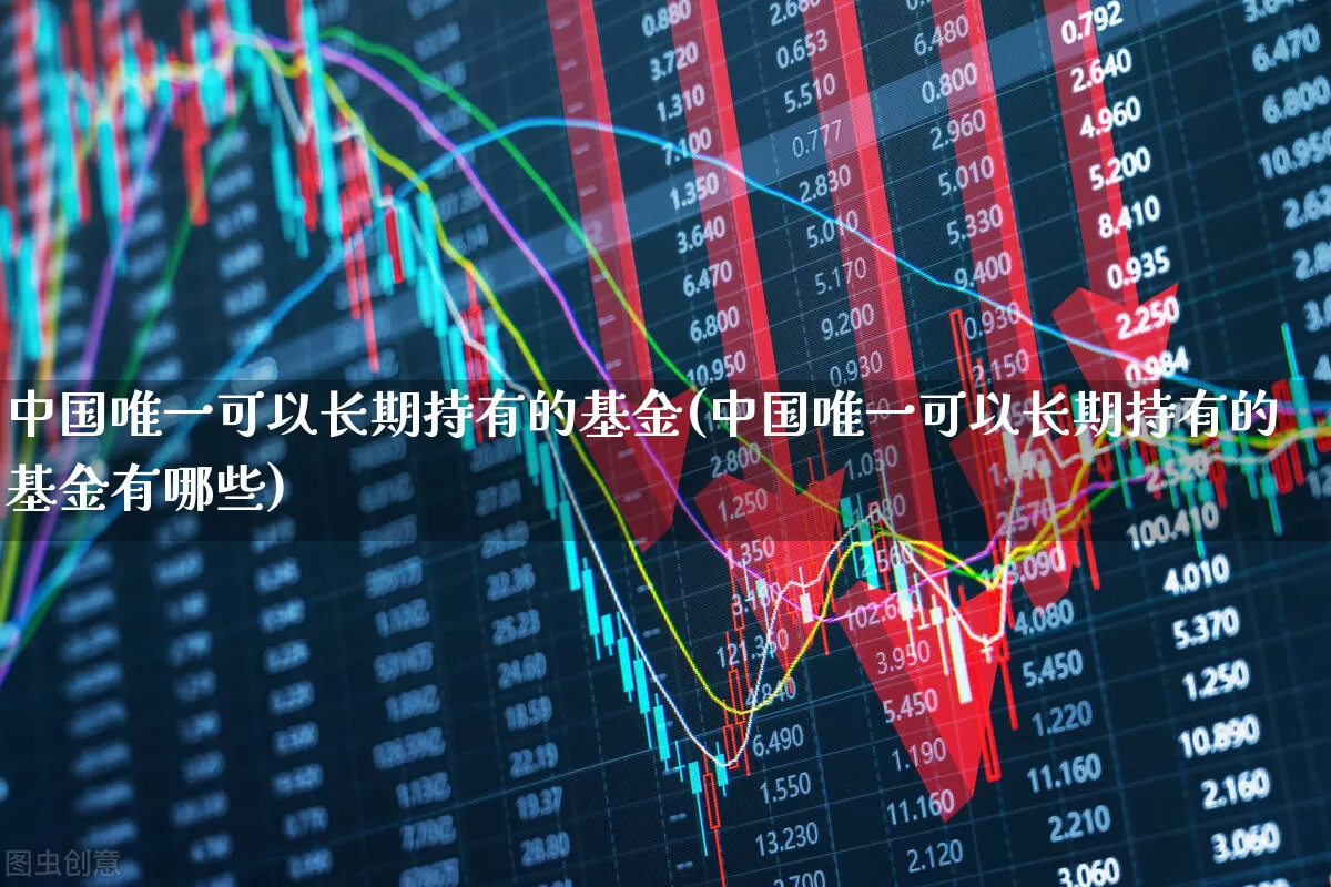 中国唯一可以长期持有的基金(中国唯一可以长期持有的基金有哪些)_https://www.heiljjianzu.com_科创板_第1张