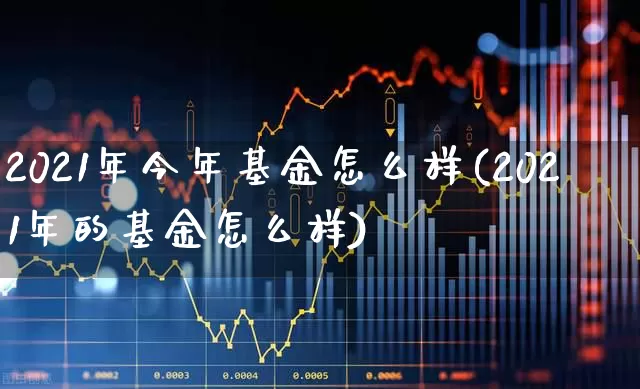 2021年今年基金怎么样(2021年的基金怎么样)_https://www.heiljjianzu.com_北交所_第1张
