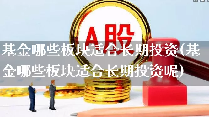 基金哪些板块适合长期投资(基金哪些板块适合长期投资呢)_https://www.heiljjianzu.com_科创板_第1张
