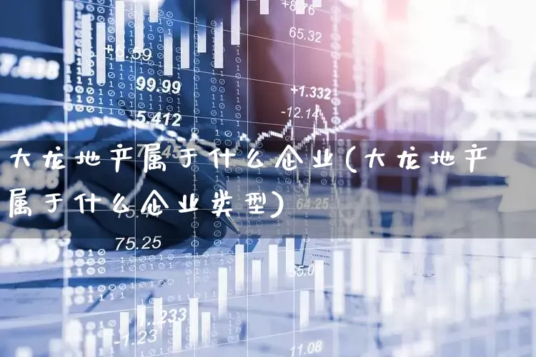 大龙地产属于什么企业(大龙地产属于什么企业类型)_https://www.heiljjianzu.com_科创板_第1张