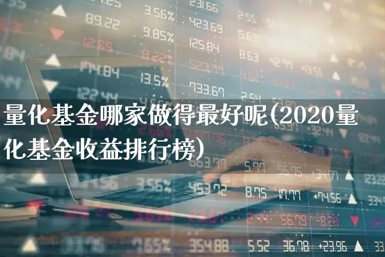 量化基金哪家做得最好呢(2020量化基金收益排行榜)_https://www.heiljjianzu.com_上交所_第1张