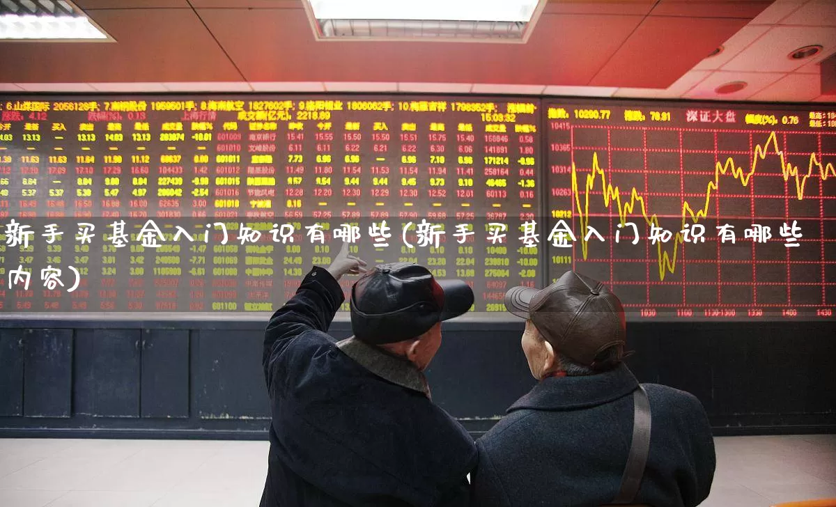新手买基金入门知识有哪些(新手买基金入门知识有哪些内容)_https://www.heiljjianzu.com_上交所_第1张