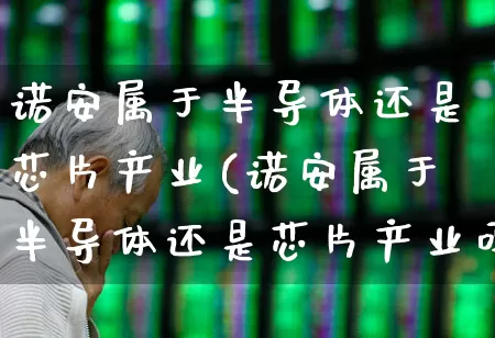 诺安属于半导体还是芯片产业(诺安属于半导体还是芯片产业吗)_https://www.heiljjianzu.com_科创板_第1张