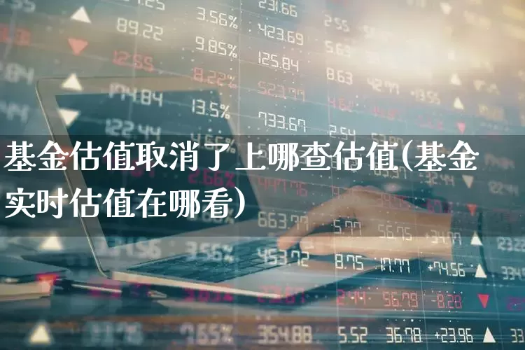 基金估值取消了上哪查估值(基金实时估值在哪看)_https://www.heiljjianzu.com_创业板_第1张