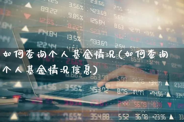 如何查询个人基金情况(如何查询个人基金情况信息)_https://www.heiljjianzu.com_深交所_第1张