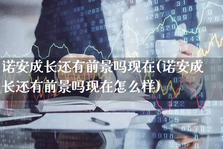 诺安成长还有前景吗现在(诺安成长还有前景吗现在怎么样)_https://www.heiljjianzu.com_上交所_第1张