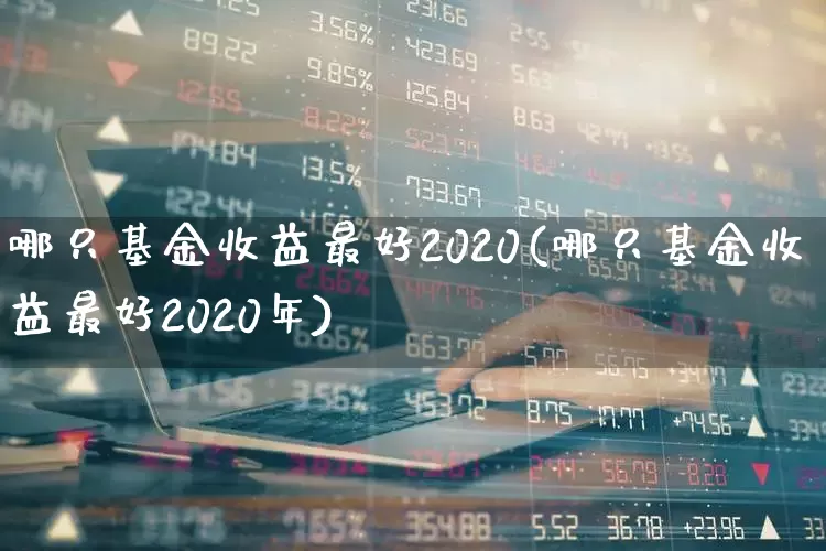 哪只基金收益最好2020(哪只基金收益最好2020年)_https://www.heiljjianzu.com_科创板_第1张