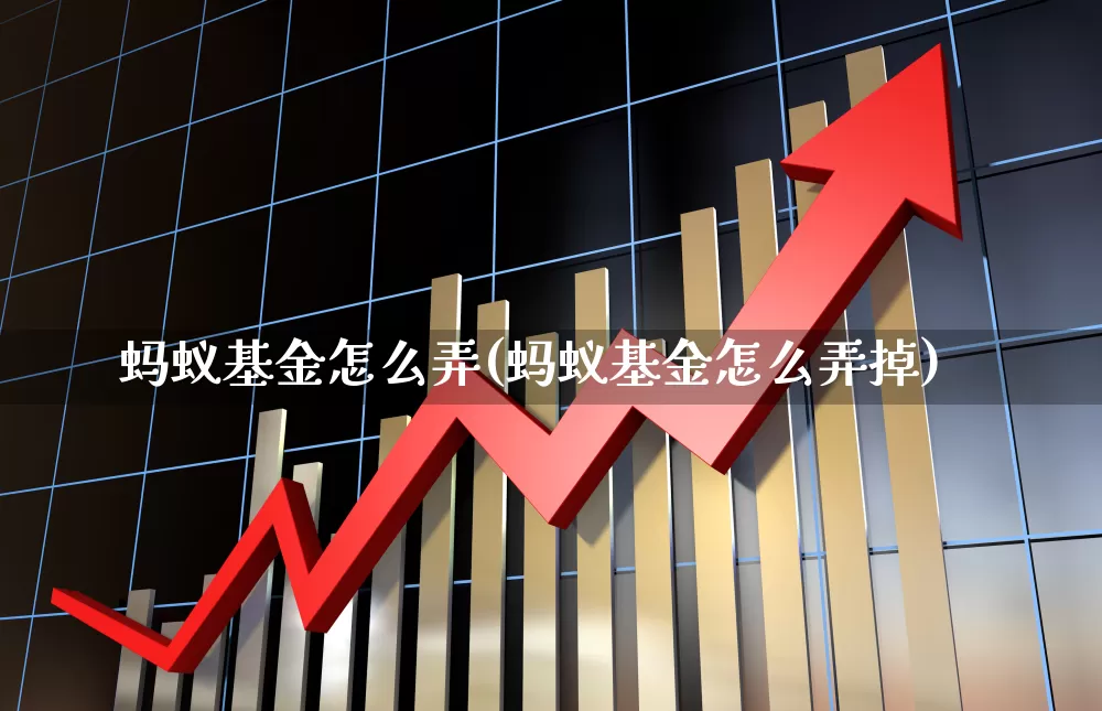 蚂蚁基金怎么弄(蚂蚁基金怎么弄掉)_https://www.heiljjianzu.com_上交所_第1张