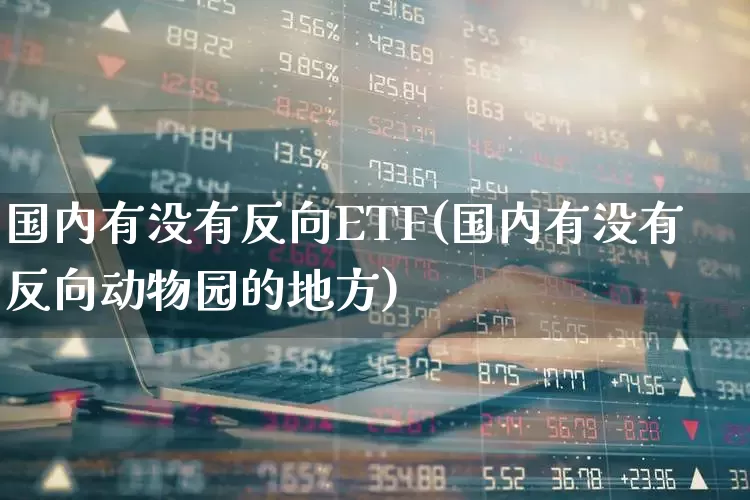 国内有没有反向ETF(国内有没有反向动物园的地方)_https://www.heiljjianzu.com_上交所_第1张