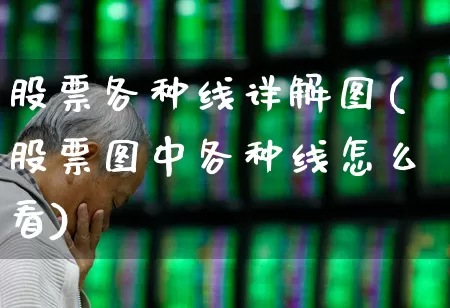 股票各种线详解图(股票图中各种线怎么看)_https://www.heiljjianzu.com_创业板_第1张