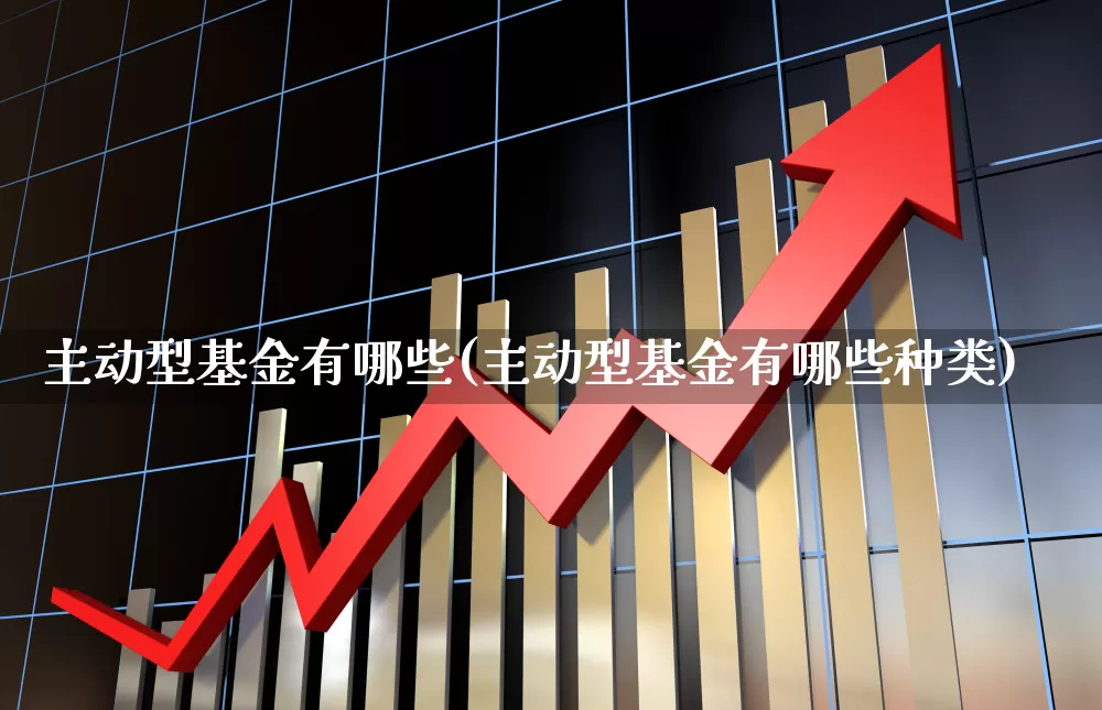 主动型基金有哪些(主动型基金有哪些种类)_https://www.heiljjianzu.com_深交所_第1张