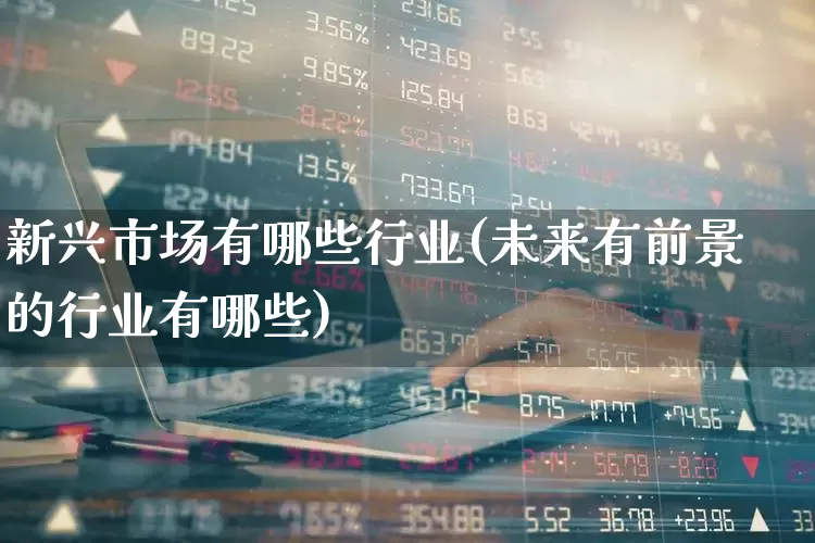 新兴市场有哪些行业(未来有前景的行业有哪些)_https://www.heiljjianzu.com_科创板_第1张