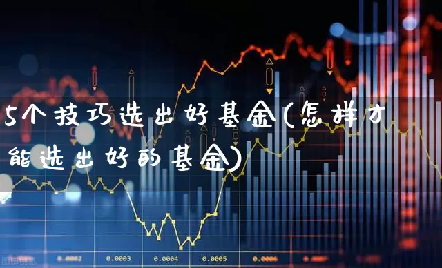5个技巧选出好基金(怎样才能选出好的基金)_https://www.heiljjianzu.com_深交所_第1张