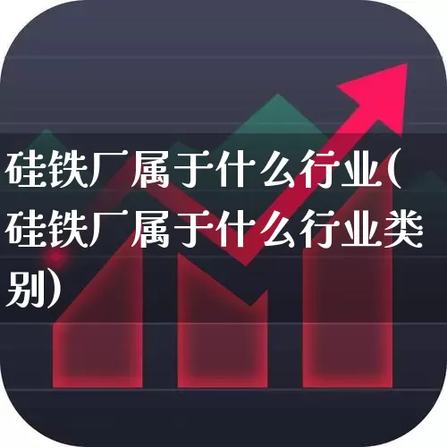 硅铁厂属于什么行业(硅铁厂属于什么行业类别)_https://www.heiljjianzu.com_北交所_第1张