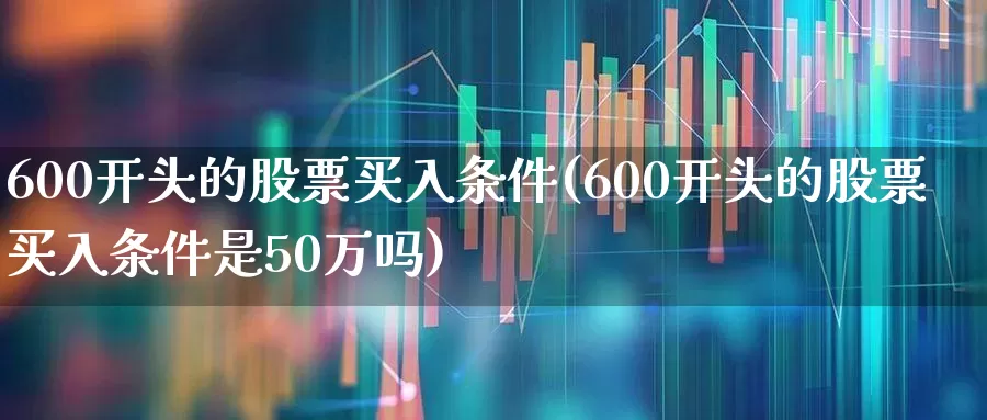 600开头的股票买入条件(600开头的股票买入条件是50万吗)_https://www.heiljjianzu.com_科创板_第1张